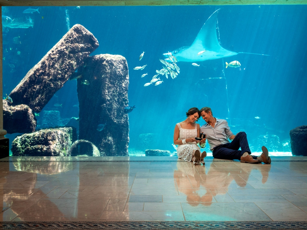 A couple sit on the floor outside a floor-to-ceiling aquarium wall. 