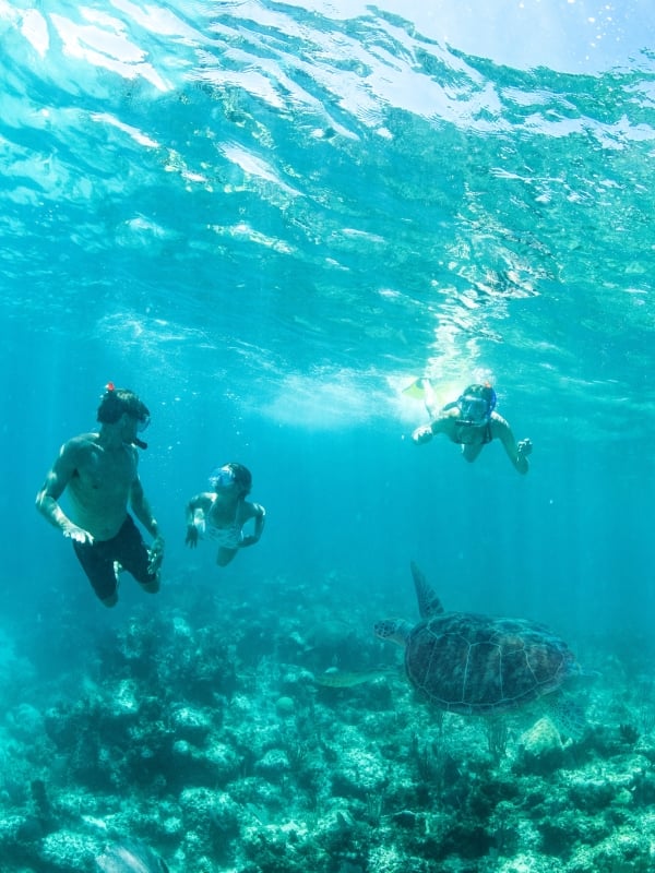A family snorkelling in Nassau