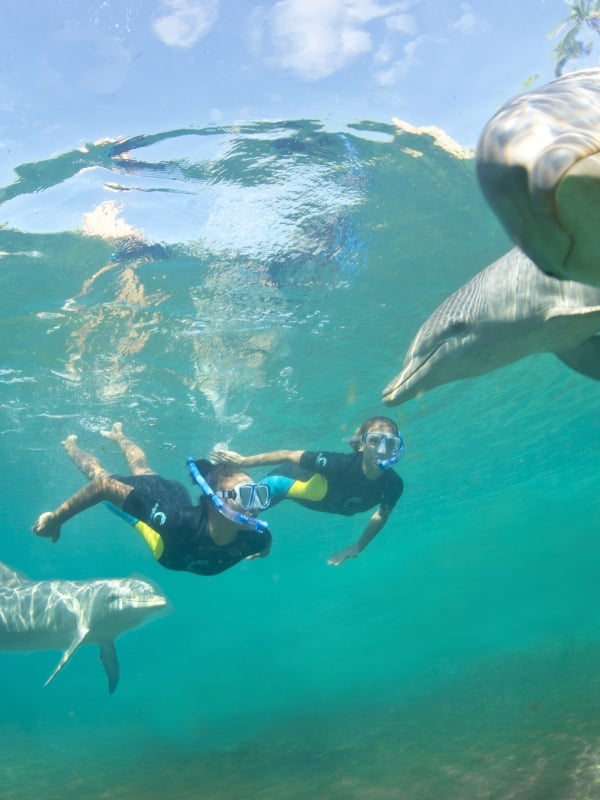 Swimming with dolphins at Atlantis, Paradise Island