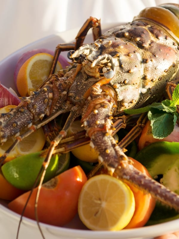 A cooked lobster over a bowl of fruits and vegetables.