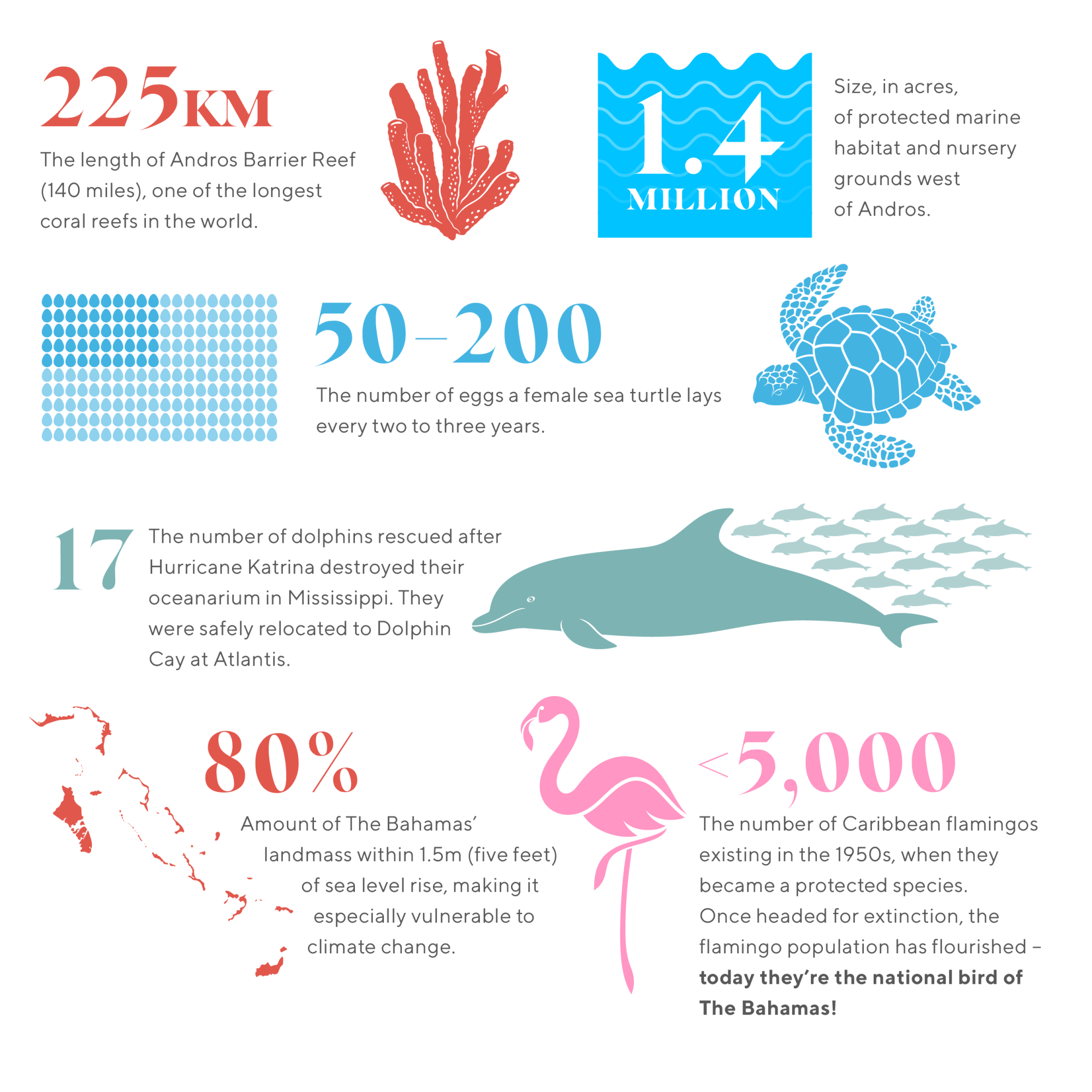 infographic featuring numbers about sustainability in the bahamas