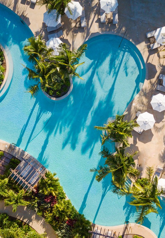 Aerial shot of beautiful pool surrounded by palm trees