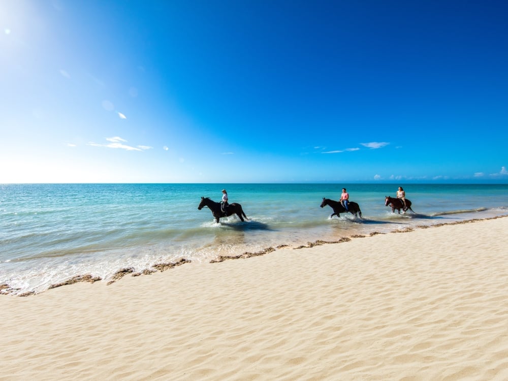 Horseback riding in Nassau Paradise Island