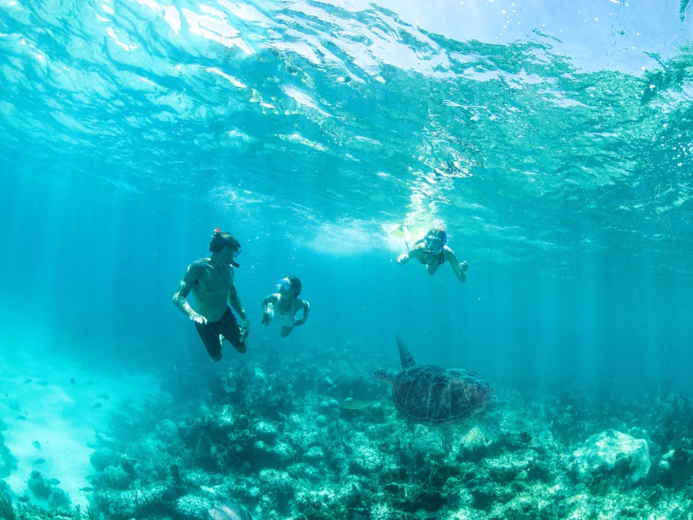 A family snorkelling in Nassau