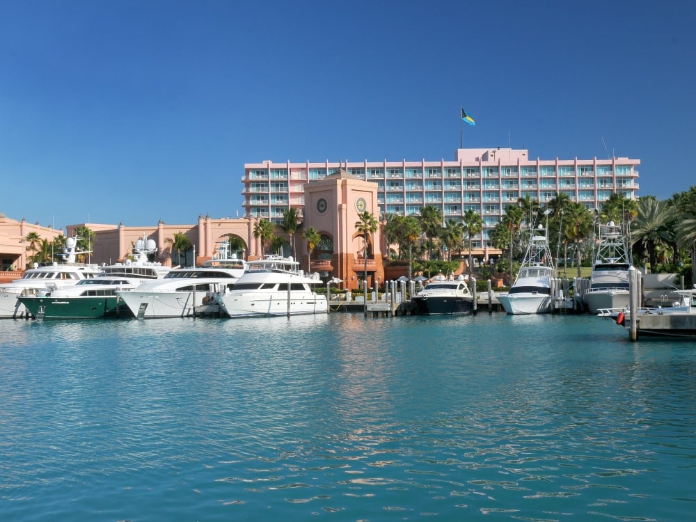 Coral at Atlantis Paradise Island