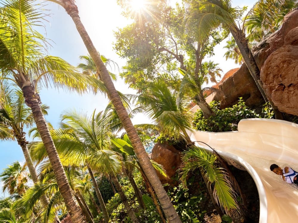 A boy sliding at Aquaventure at Atlantis Paradise Island