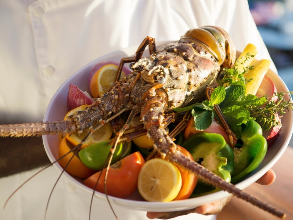 lobster meal