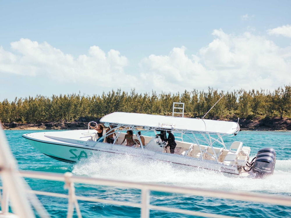 Exuma Full Day Swimming Pigs Powerboat Adventure
