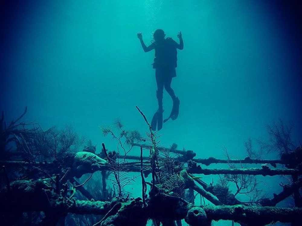 Scuba diving, The LCT Barge or “Thunderball” Wreck, Nassau Paradise Island, The Bahamas
