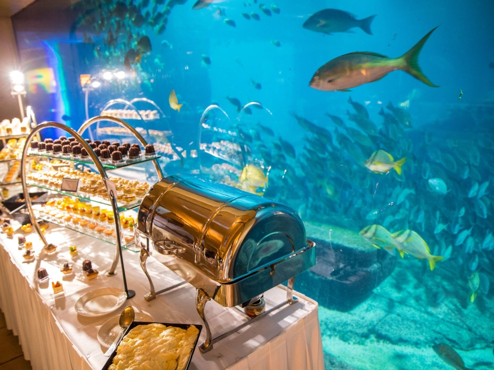 A buffet of food is displayed in front of an aquarium.
