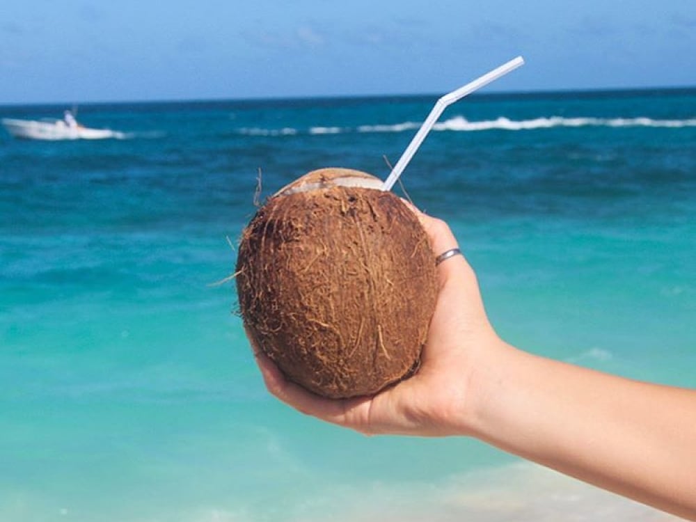 Coconut on the beach in Nassau Paradise Island