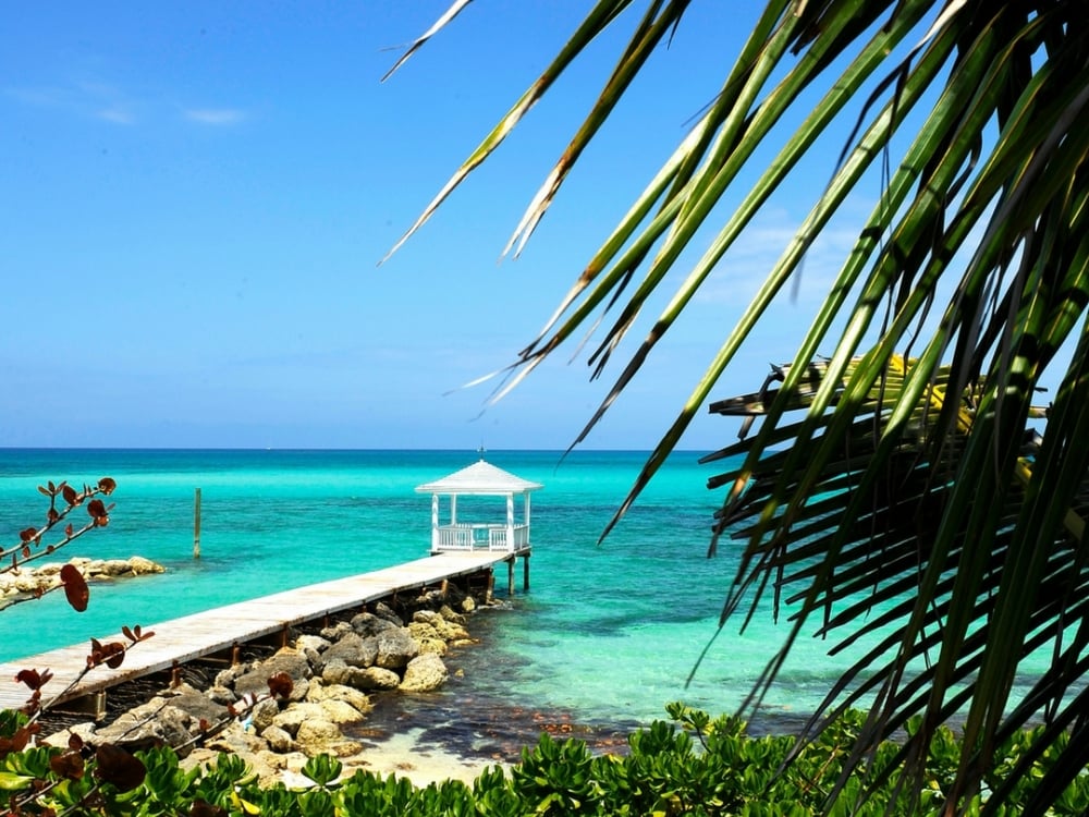 The view of a pier over turquoise waters through a palm tree.