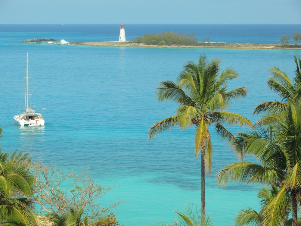 Palm trees and turquoise waters in Nassau Paradise Island, Bahamas