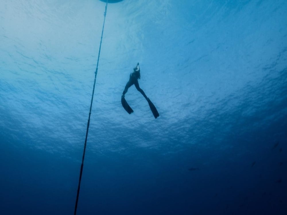 A scuba diver swims to the calm surface of the water