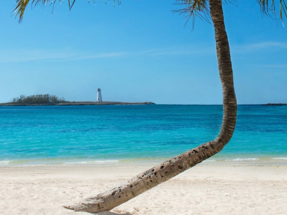 A crooked palm tree on a white sand beach with a lighthouse in the distance. 