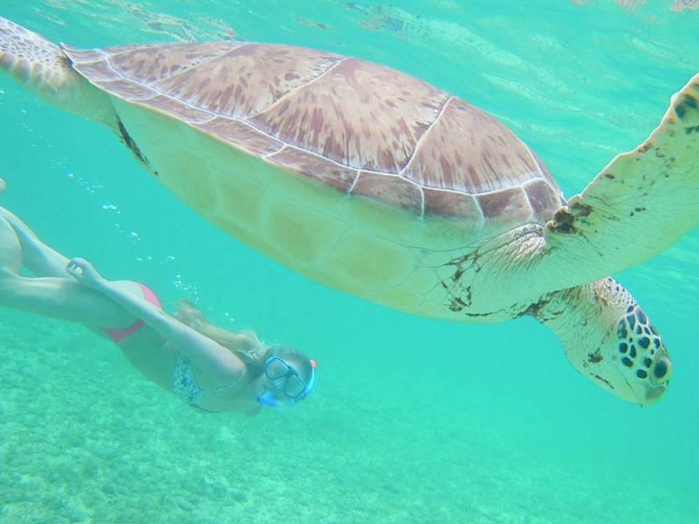 An underwater photo of a woman snorkeling with a sea turtle in The Bahamas.