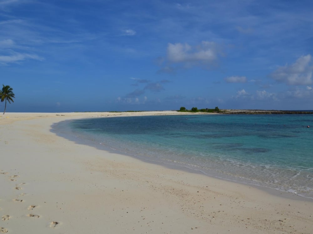 Landscape photo of Cove Beach at Atlantis