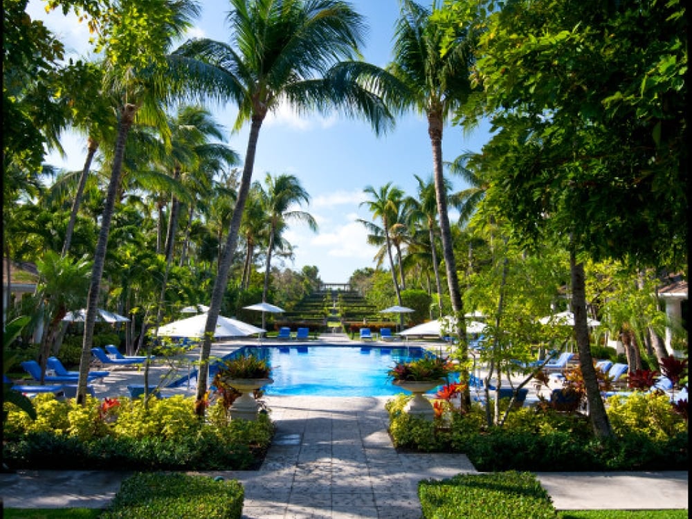 The stone walkway that leads to the palm tree surrounded pool at The Ocean Club