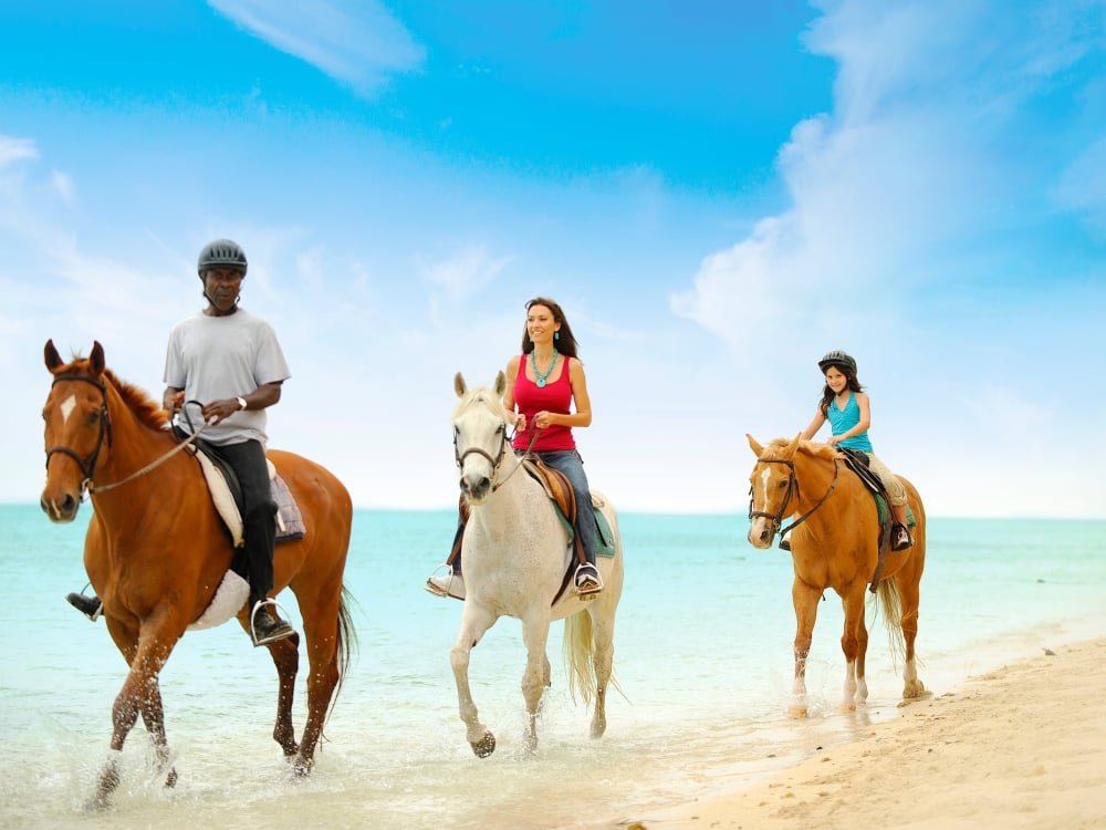 Horseback riding at Happy Trails in Nassau, Paradise Island