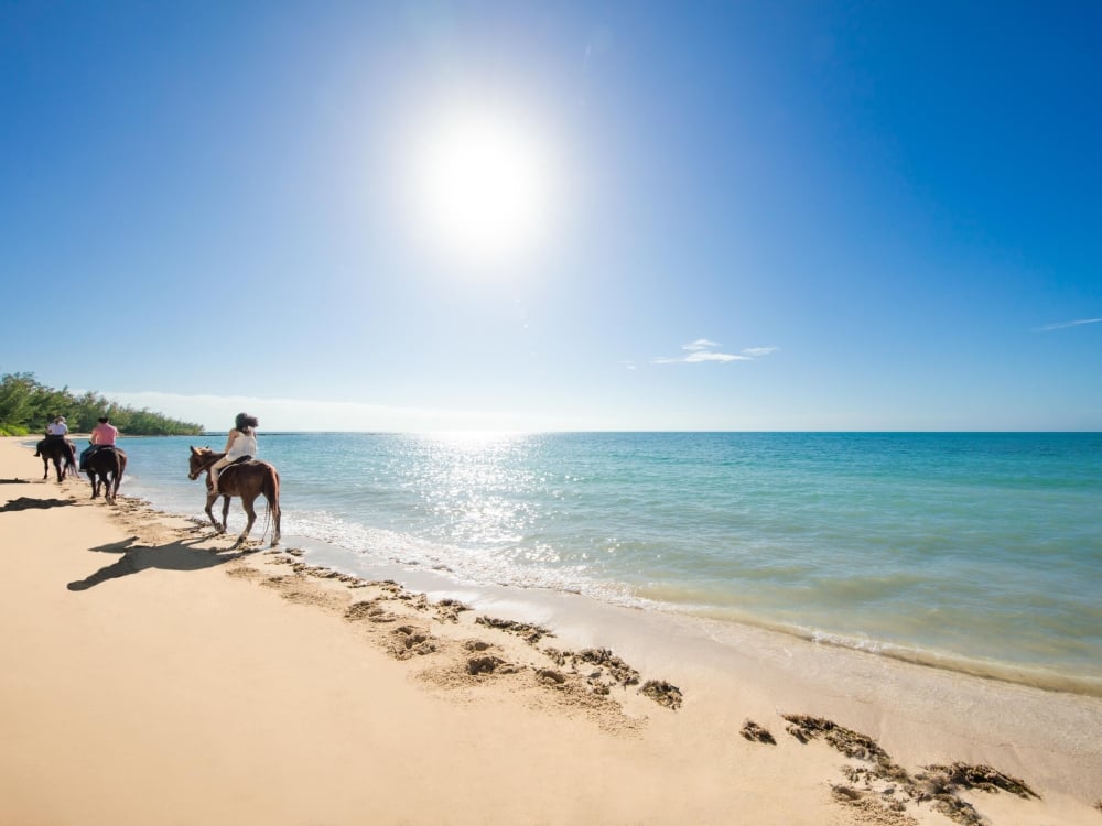 Three guests ride horseback on a beach.