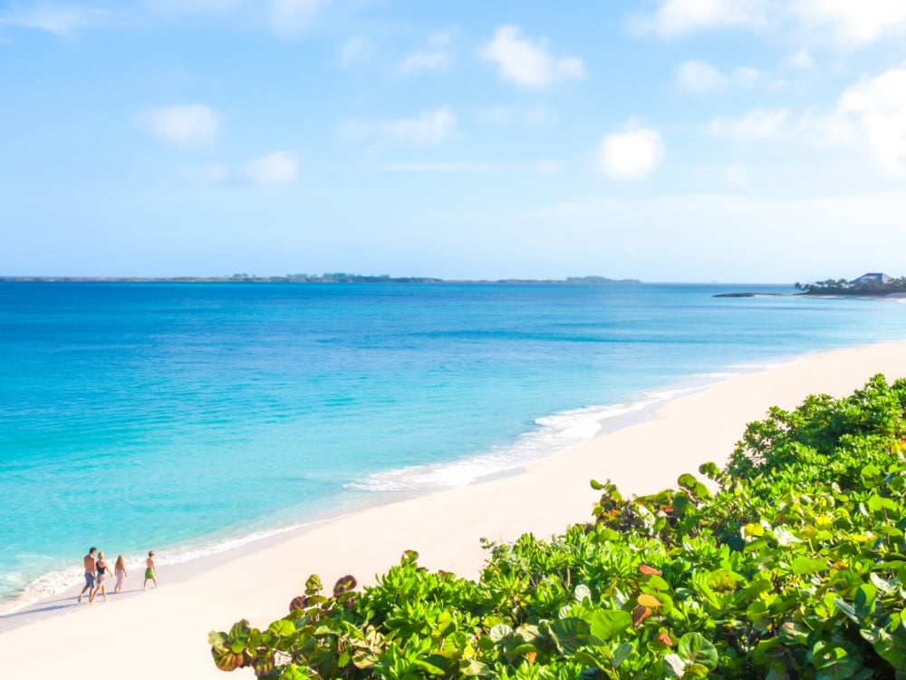 Zoom background featuring an aerial photo of a Bahamas beach.