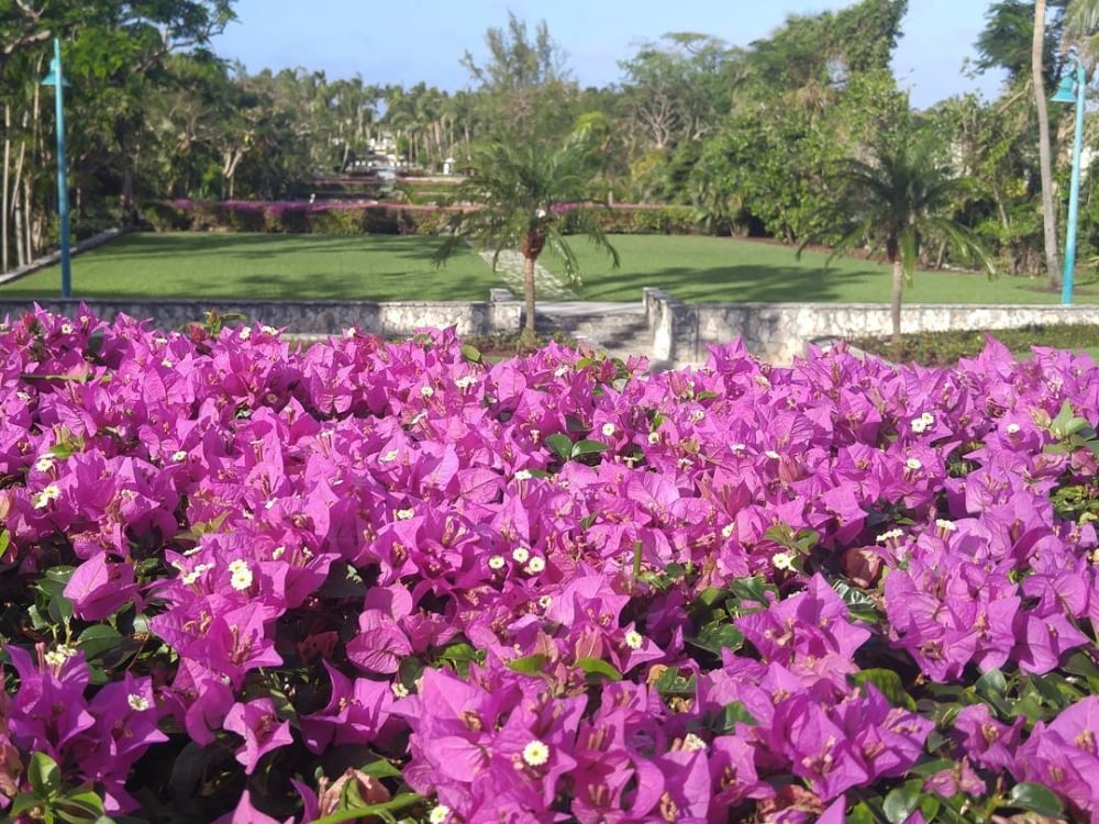 The Versailles Gardens in The Cloister at The Ocean Club, A Four Seasons Resort, Bahamas