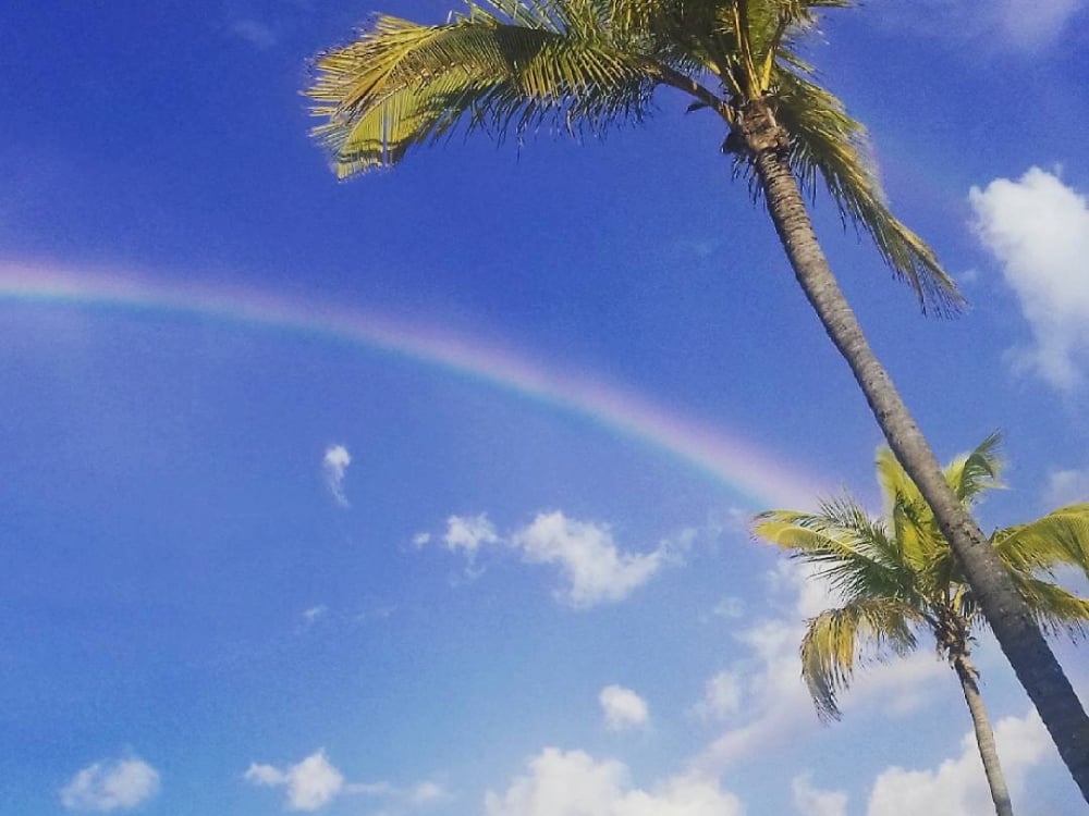 Palm trees and a rainbow in the Bahamas 