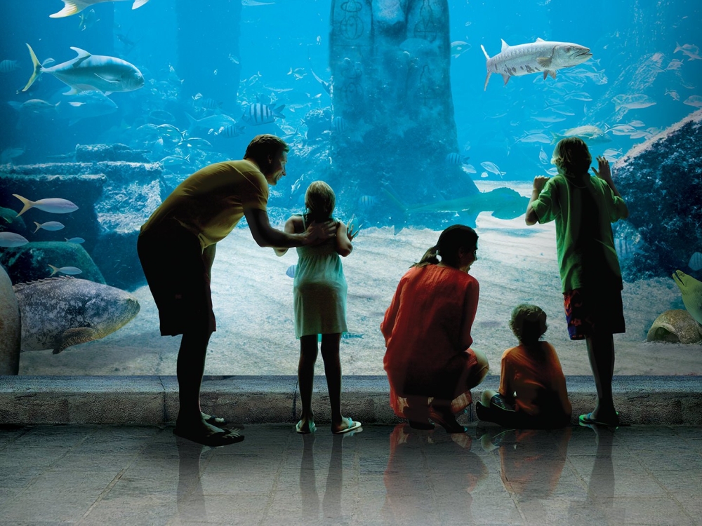 A family of five peering through the glass of an aquarium.
