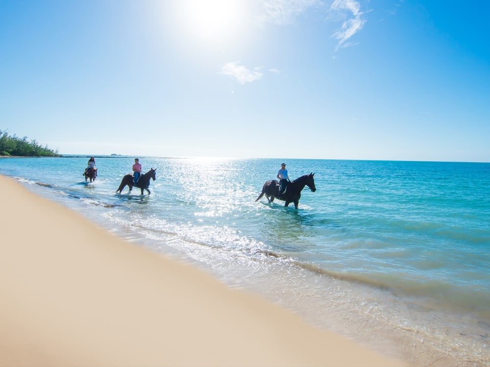 Three people horseback riding through tropical waters on a white-sand beach.