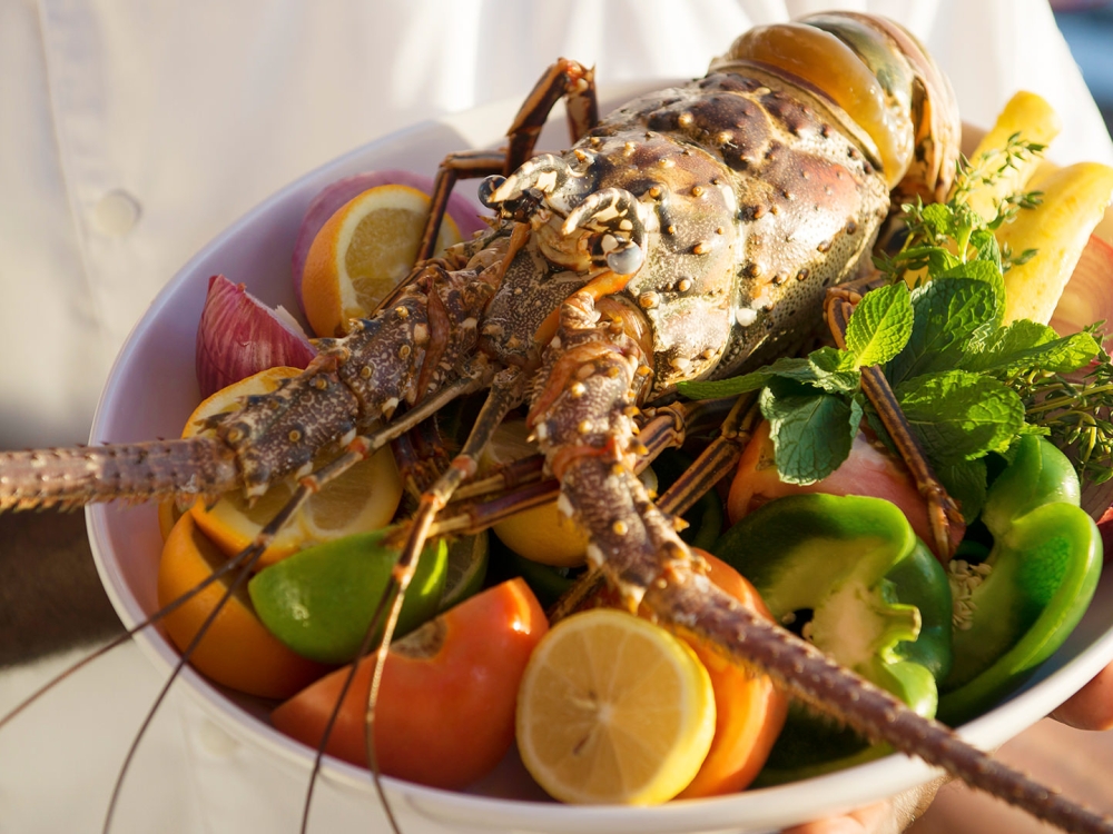A cooked lobster over a bowl of fruits and vegetables.