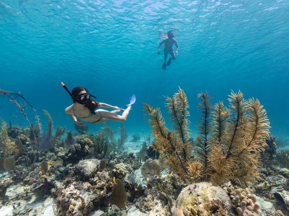 A woman snorkels through a coral reef in The Bahamas 