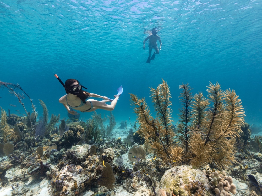 A woman snorkels through a coral reef in The Bahamas