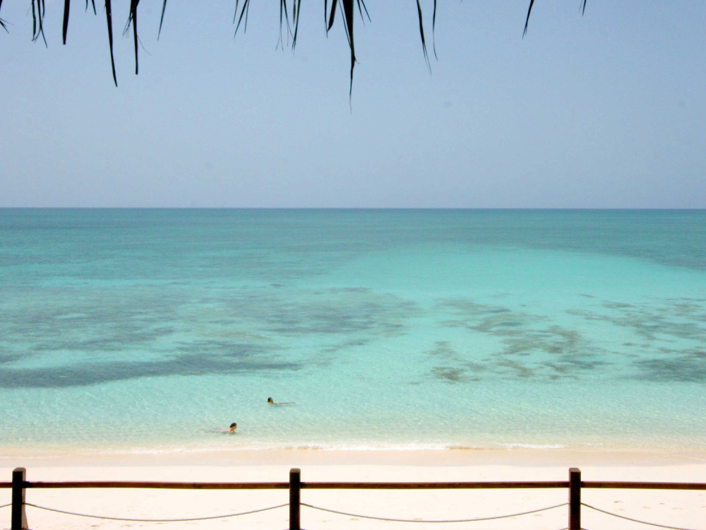 A serene beach scene with crystal-clear tropical water.