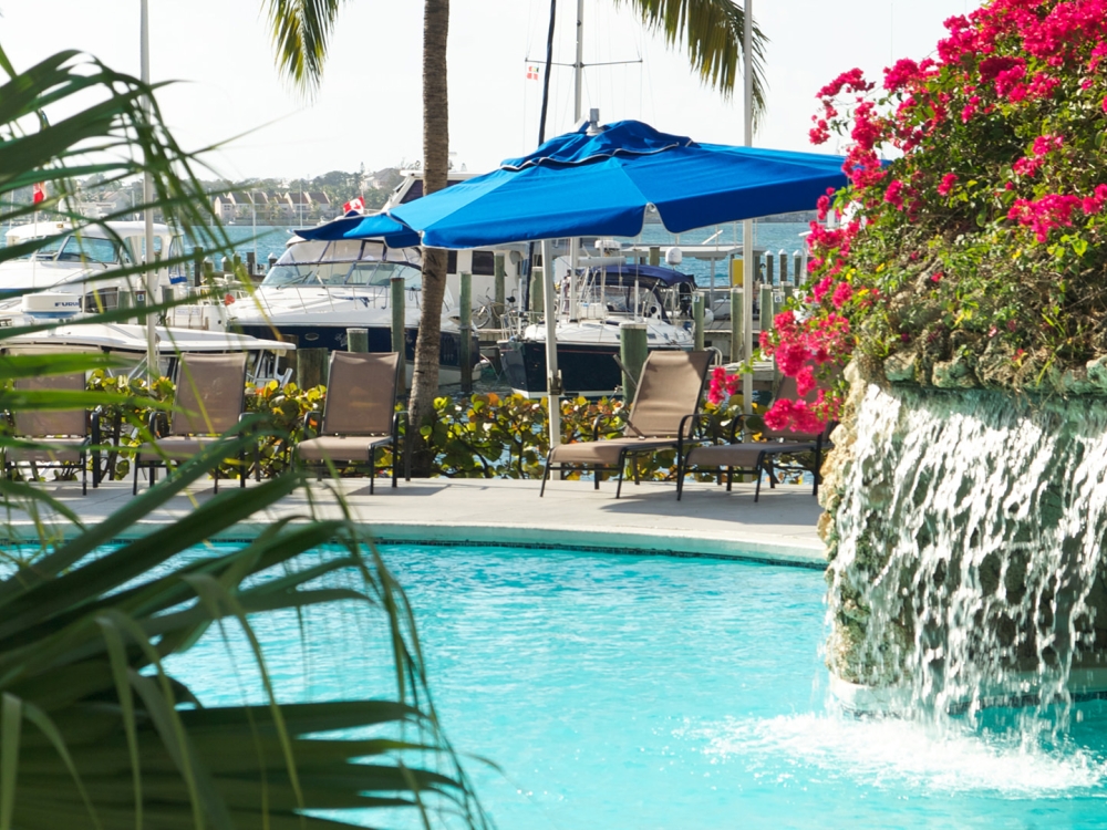A stunning pool area with lush vegetation.