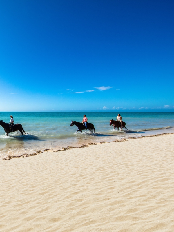 Horseback riding in Nassau Paradise Island