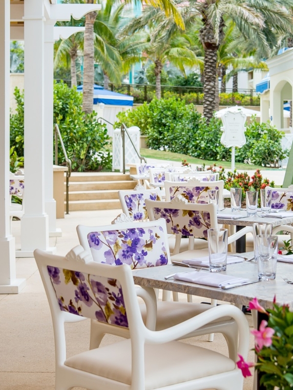 THE PALMS
