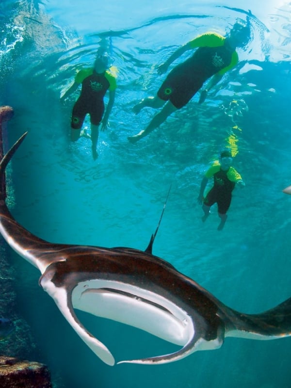 SNORKEL THE RUINS OF ATLANTIS