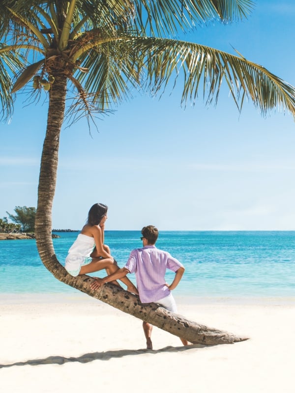 A couple with a palm tree on a beach in Nassau Paradise Island