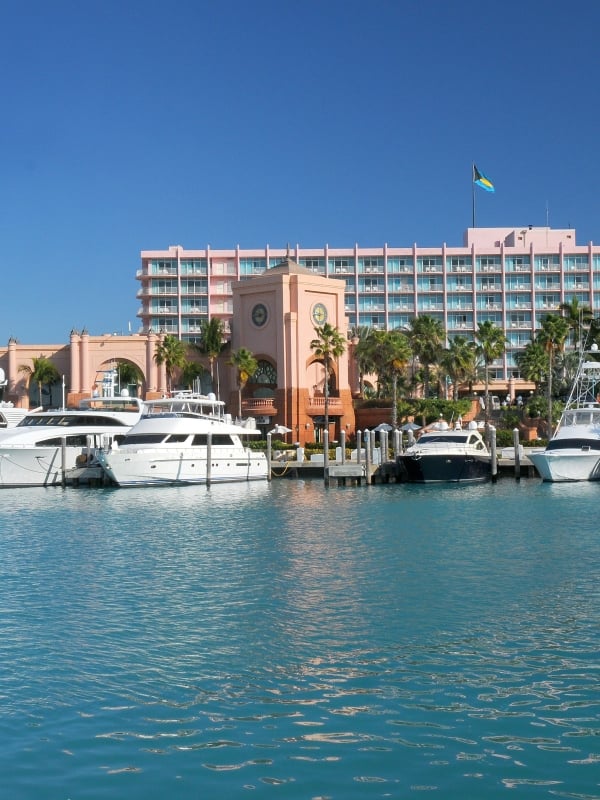 Coral at Atlantis Paradise Island