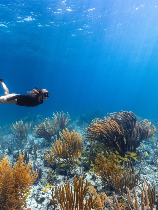 woman scuba diving in clear blue water