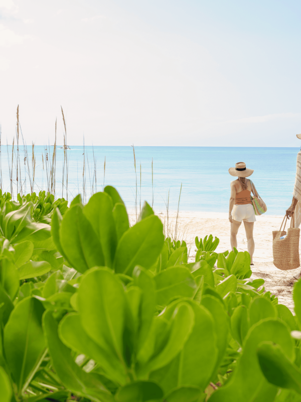 people walking to the beach 