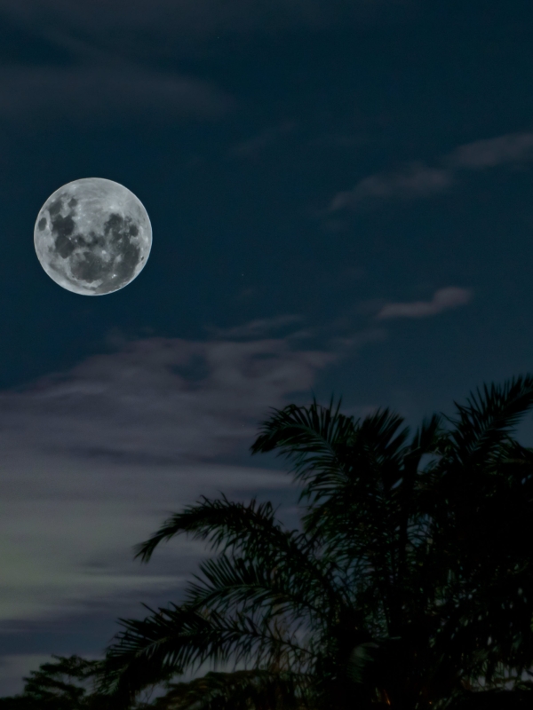 Full Moon Yoga