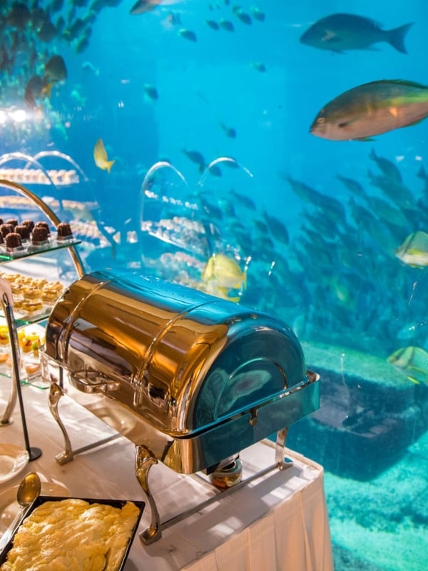 A buffet of food is displayed in front of an aquarium.