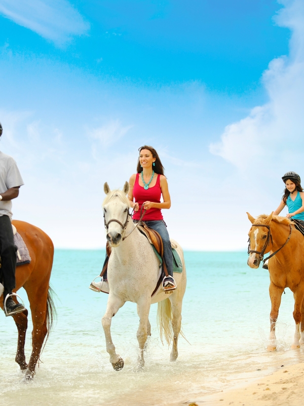 Horseback riding at Happy Trails in Nassau, Paradise Island