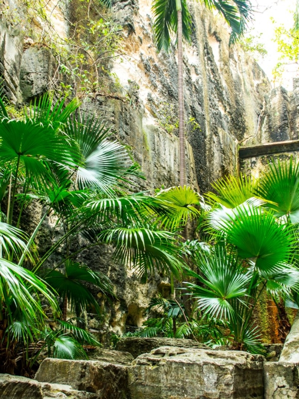 イスファハーン モスク 写真集 ISPAHAN Image du Paradis 11,500+ Ispahan Stock Photos, Pictures & Royalty-Free Images