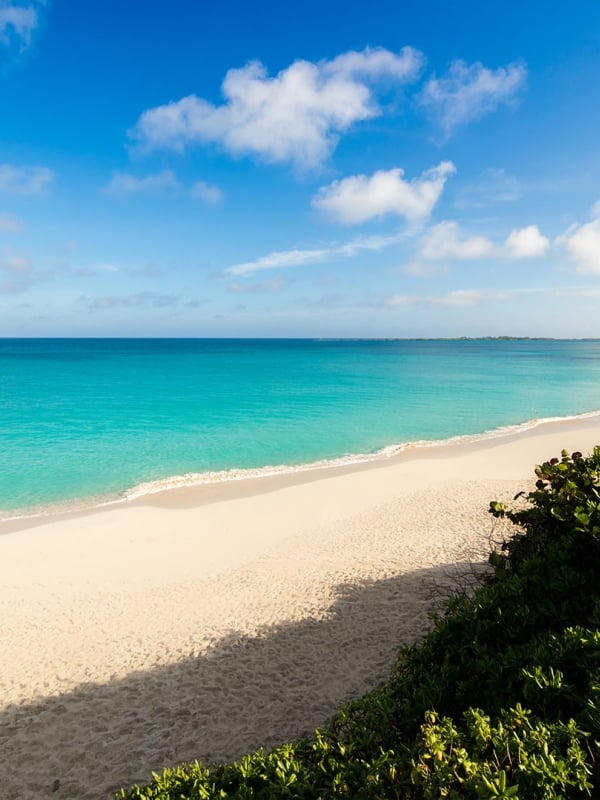 A pristine beach and tropical waters on a sunny day.