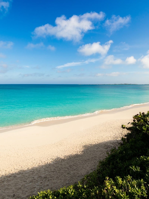 Beautiful blue ocean and white sand beach