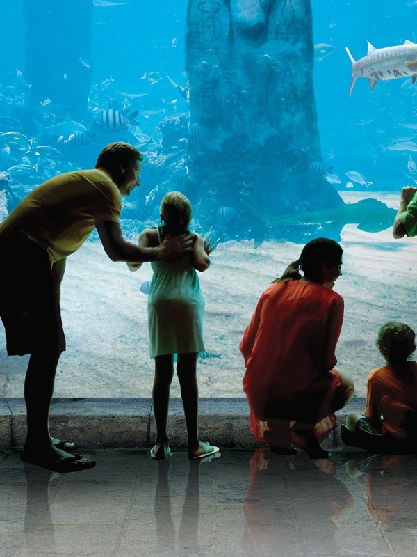 A family of five peering through the glass of an aquarium.