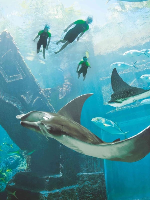 Three people snorkeling the ruins at Atlantis, Paradise Island in Nassau Paradise Island