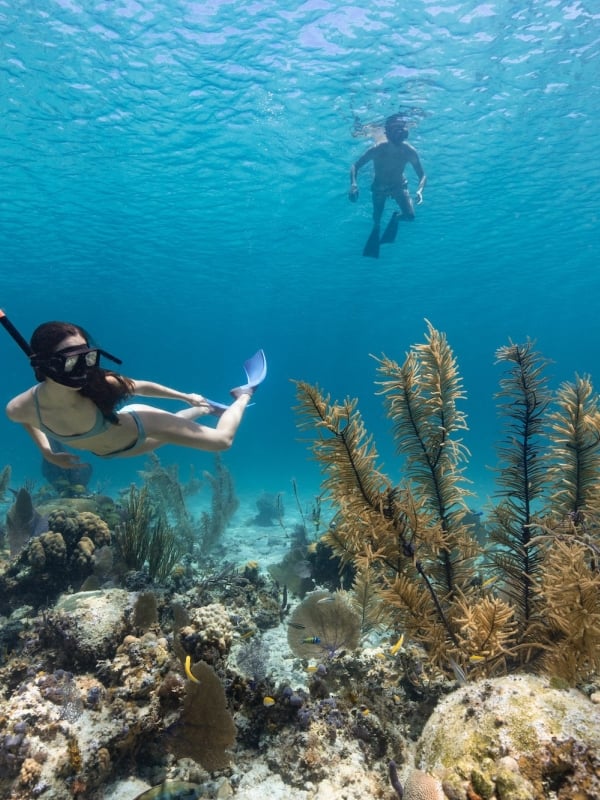 A woman snorkels through a coral reef in The Bahamas 